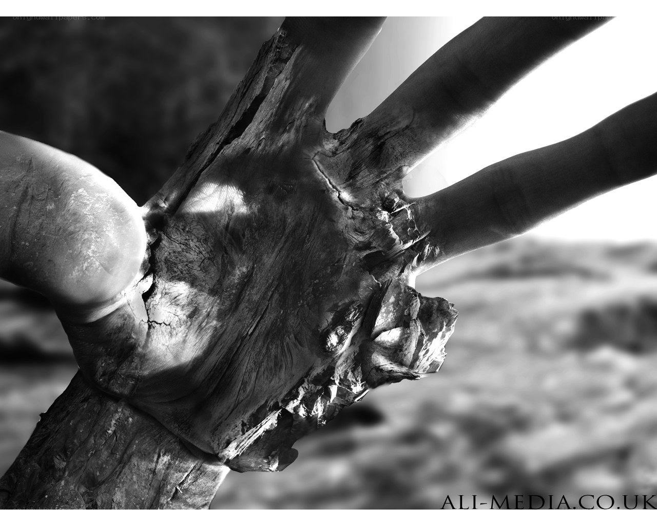 wooden hand sculpture