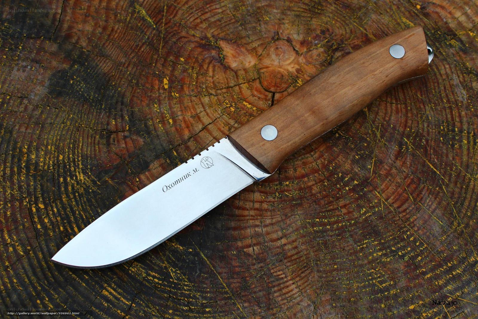 wooden-handled knife on tree stump
