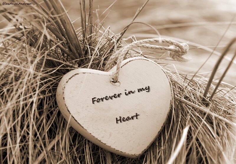 Wooden Heart in Hay
