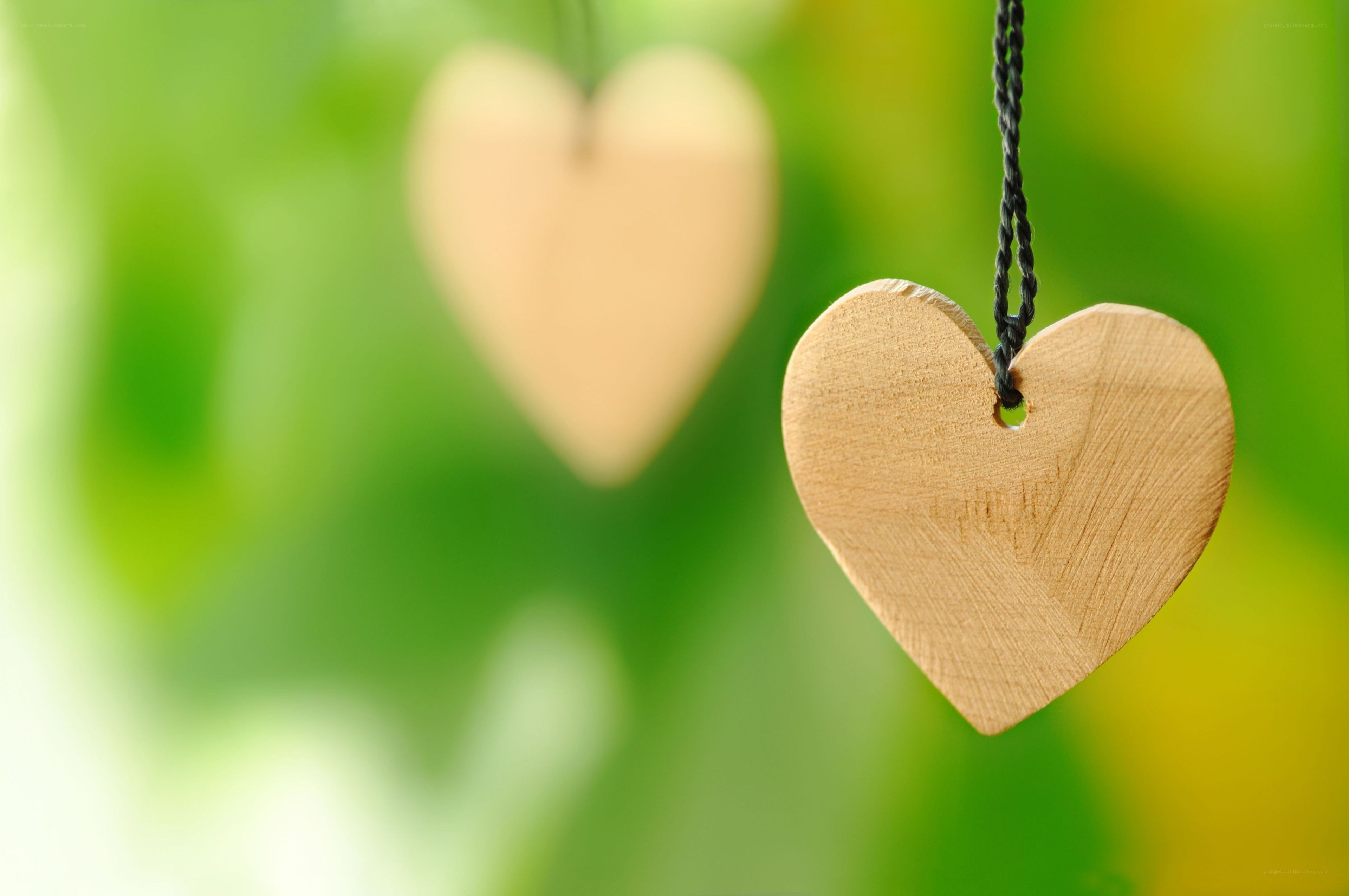 Wooden hearts hanging on string