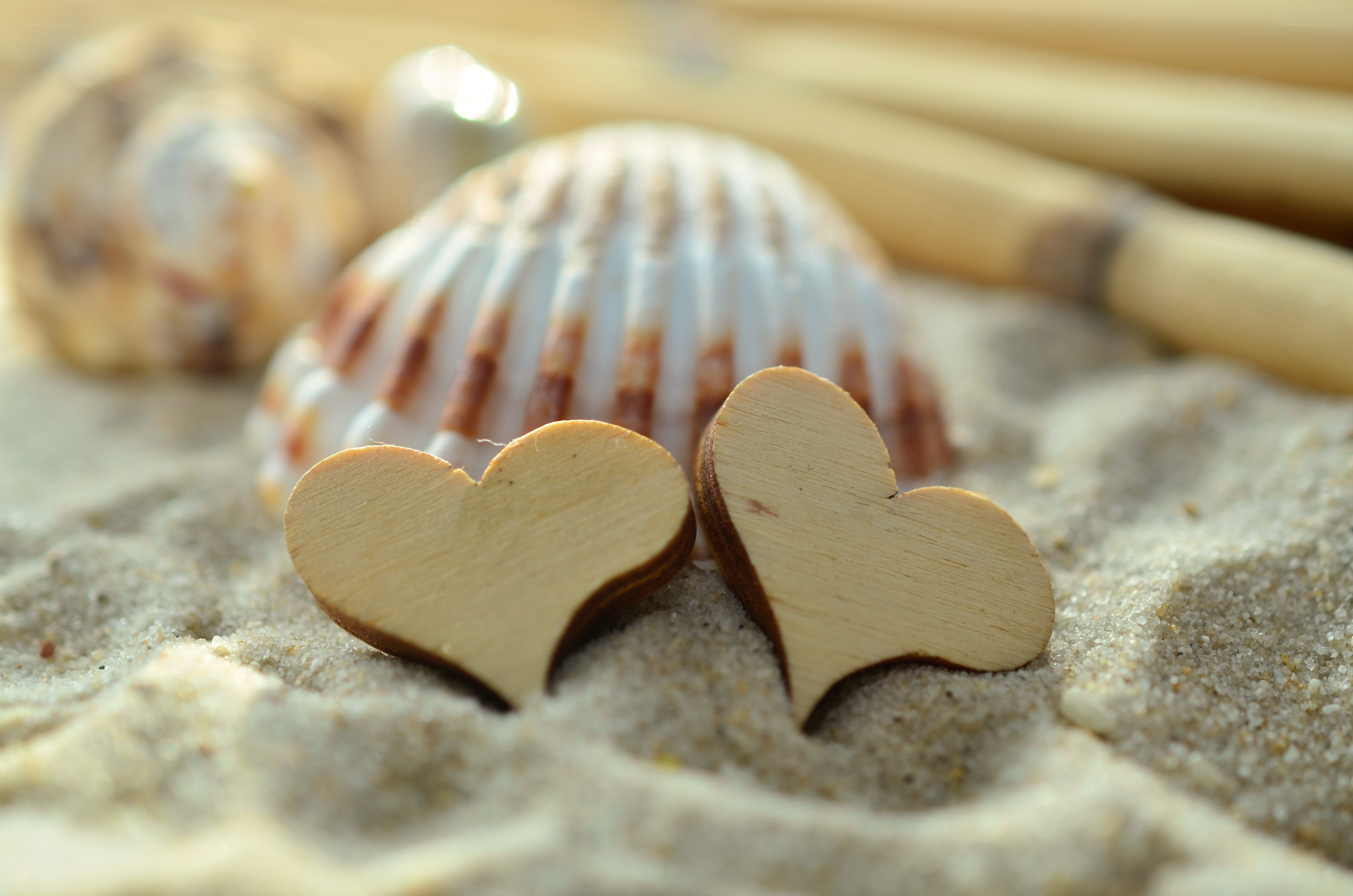 Wooden hearts on sandy beach