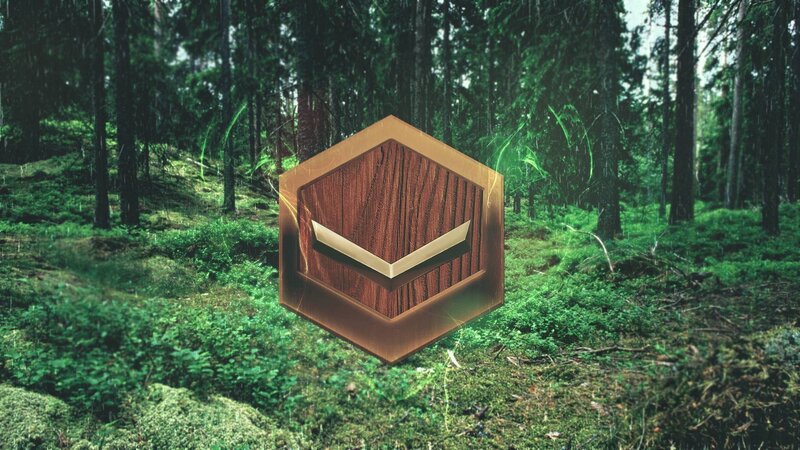 Wooden Hexagon in Forest — Green