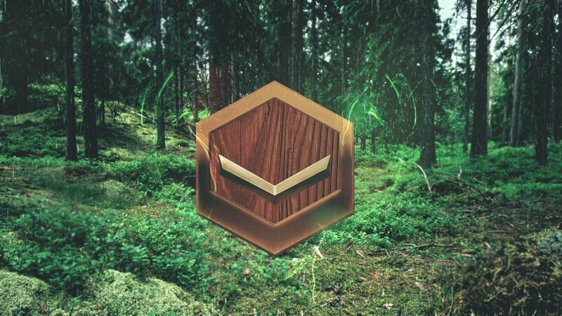 wooden hexagon in forest