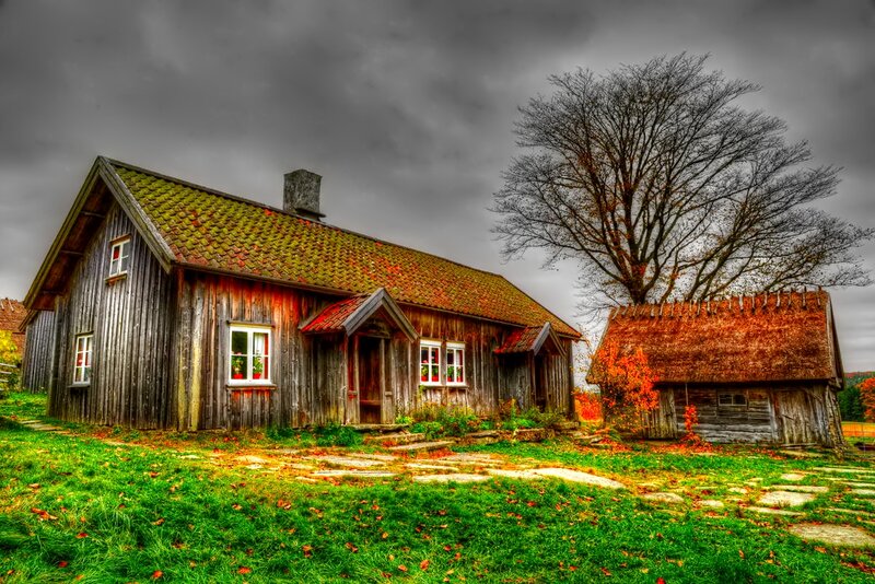 Wooden House and Shed