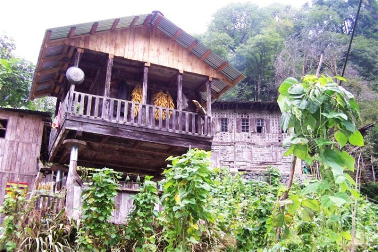 Wooden house in a forest