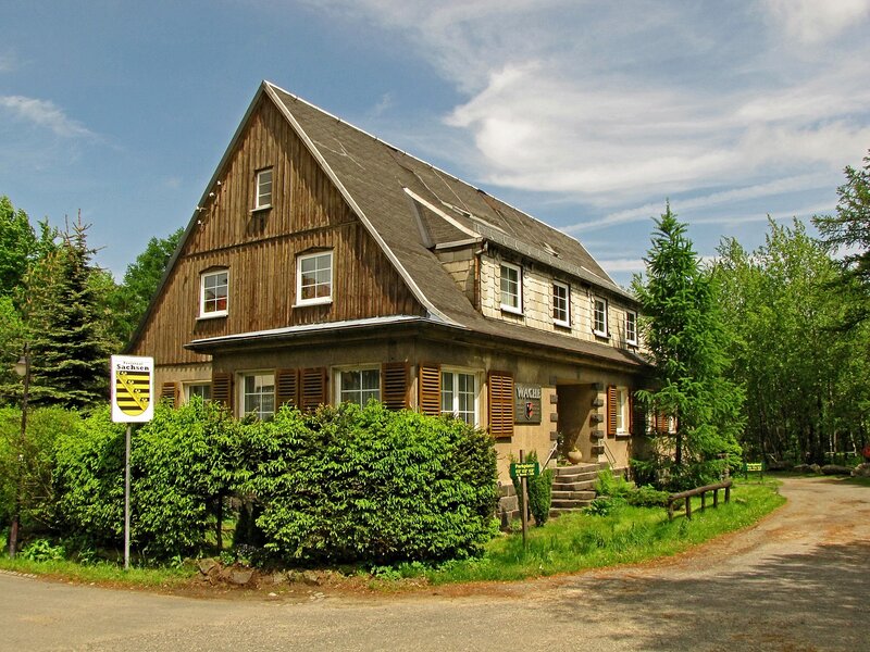 Wooden house in a forest