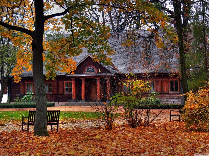 Wooden House in Autumn — Orange