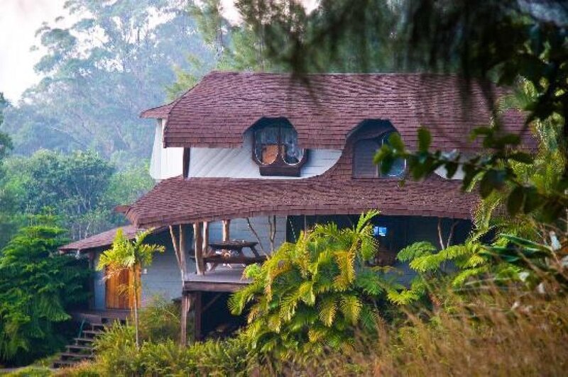 Wooden House in Forest — Brown