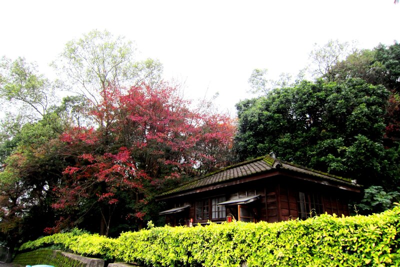 Wooden House in Garden — Green, Serene, Autumn