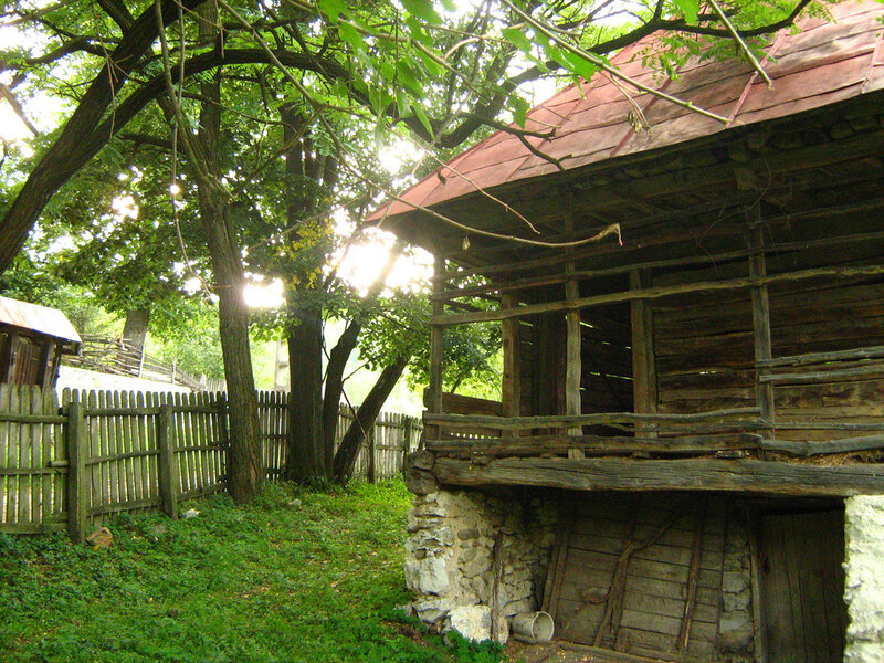 Wooden House in Garden — Green