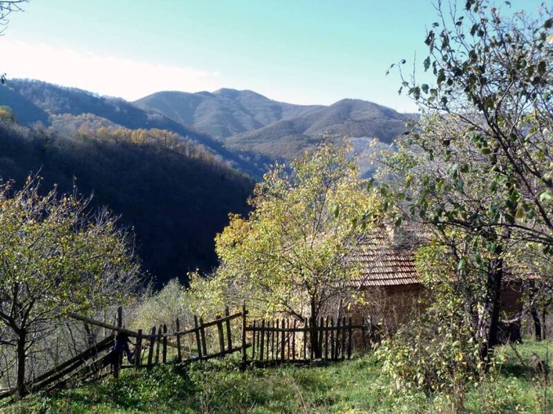 Wooden House in Valley — Green, Serene, Autumn