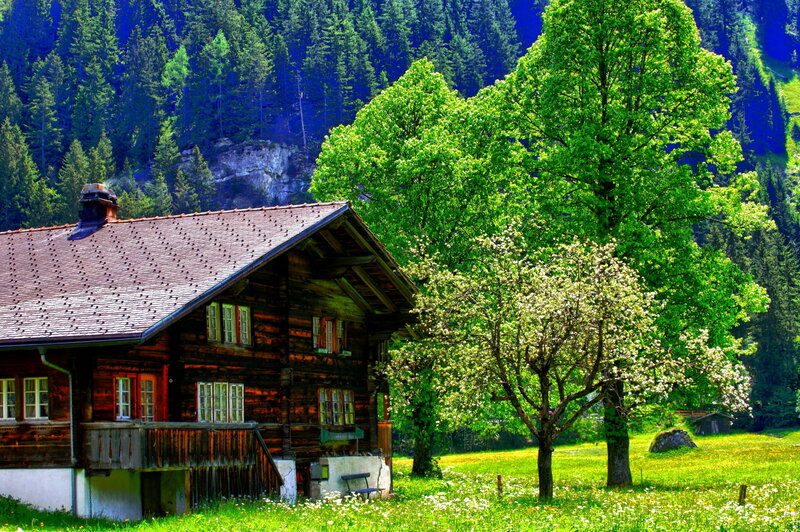 Wooden House in Valley — Green, Serene