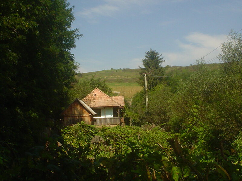 Wooden House in Valley — Green