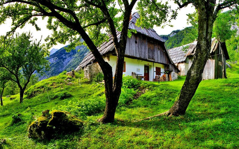 Wooden House on Hillside — Green, Serene