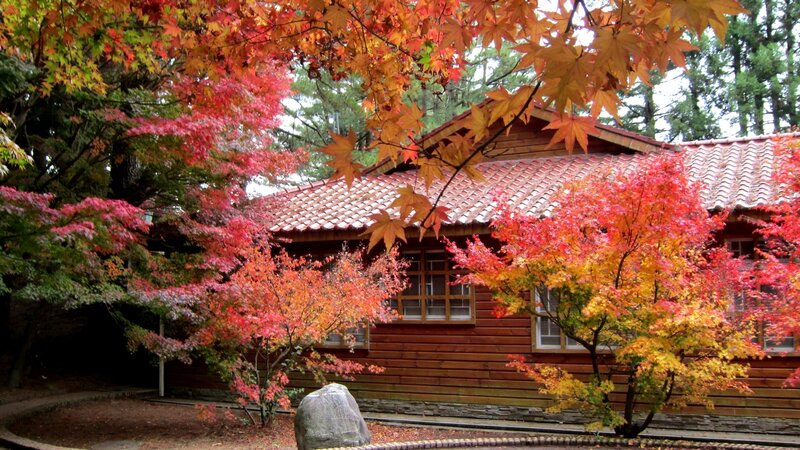 Wooden House with Autumn Trees