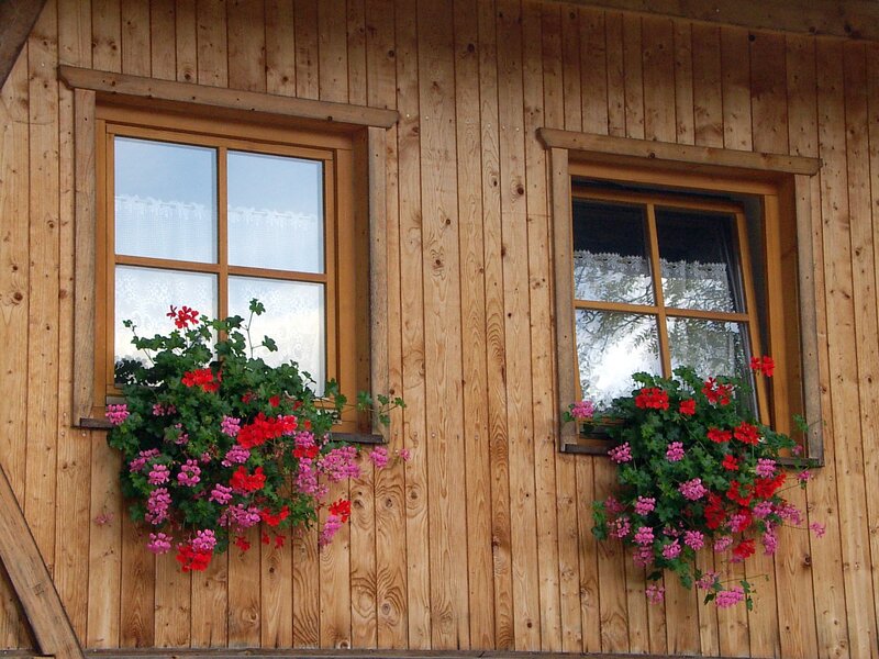 Wooden house with flower boxes