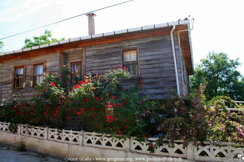 Wooden House with Flowers — Brown