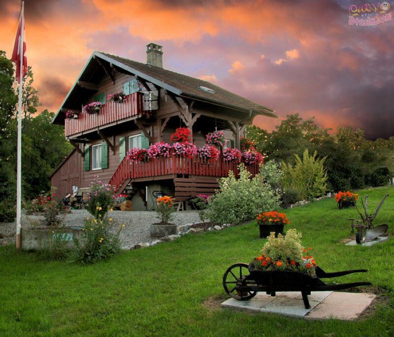 Wooden House with Flowers — Green
