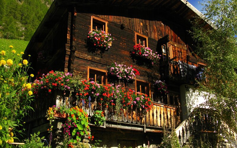 Wooden House with Flowers