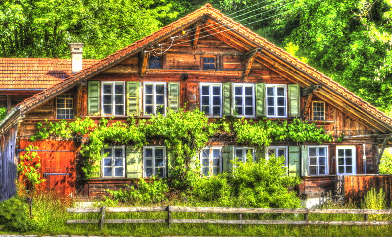 Wooden House with Vines