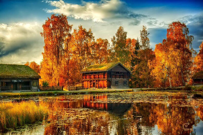 Wooden Houses by Pond