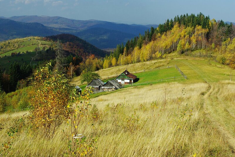 Wooden Houses in Valley