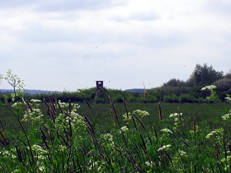 Wooden Hunting Blind — Green