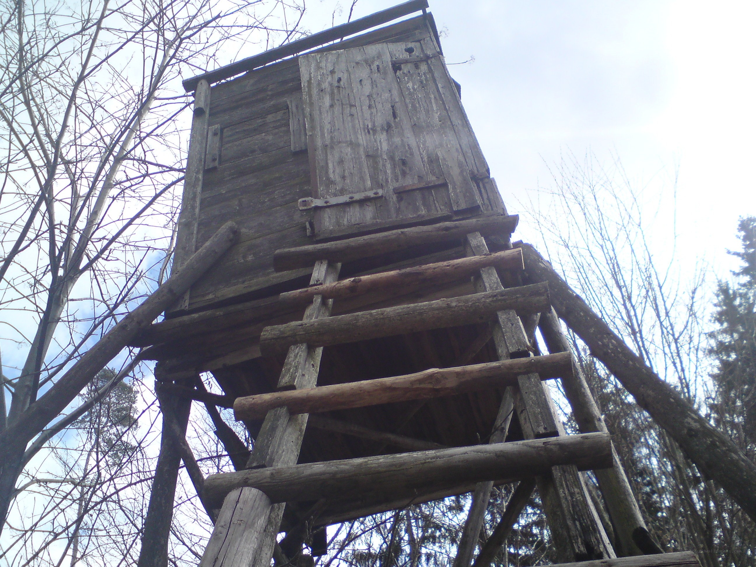 wooden hunting blind
