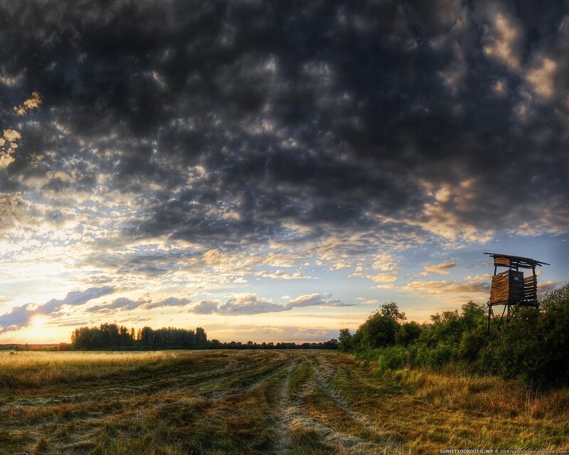 Wooden Hunting Tower — Blue