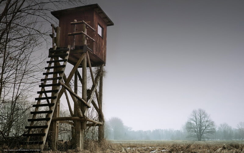 Wooden hunting tower in fog
