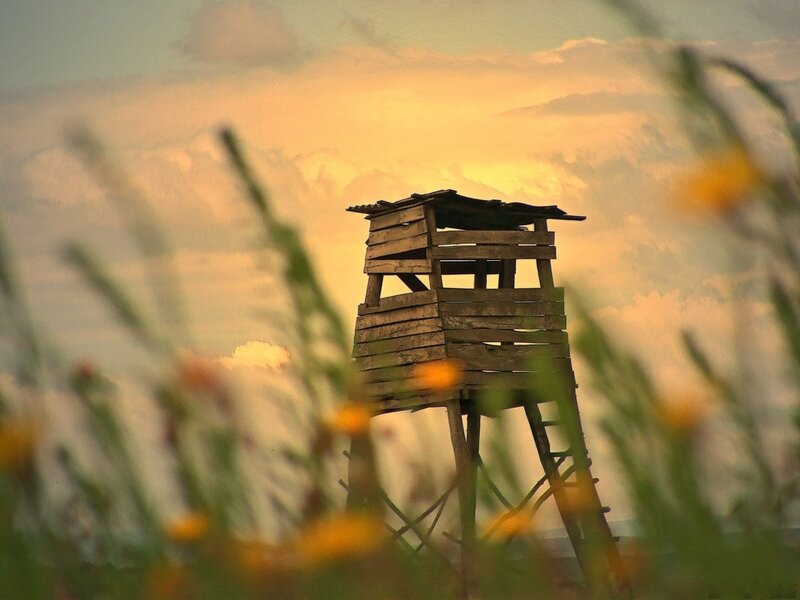 Wooden Hunting Tower