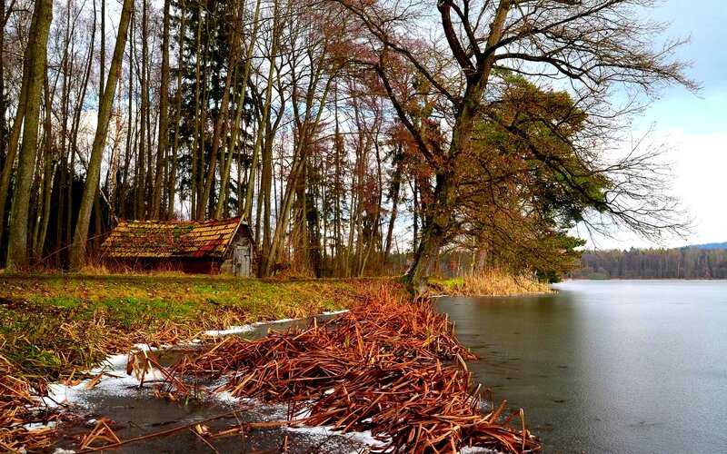 Wooden Hut by Lake — Brown