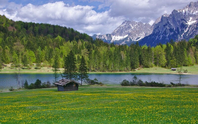 Wooden Hut by Lake — Green, Serene, Spring