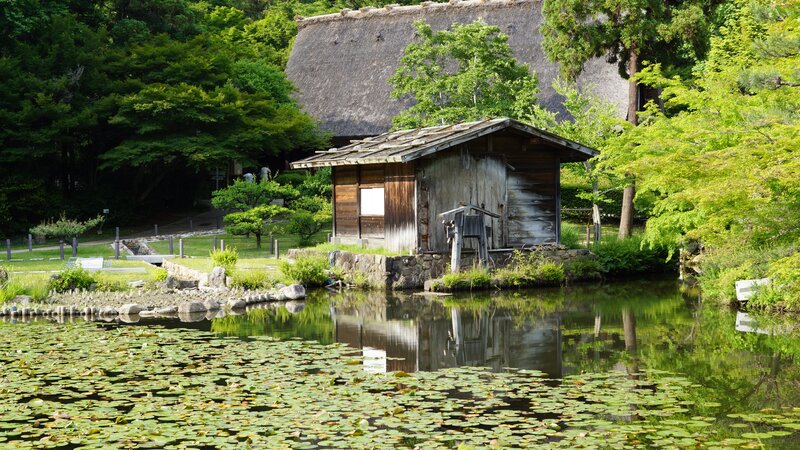 Wooden Hut by Pond — Green, Serene
