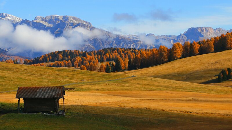 Wooden Hut in Autumn Field