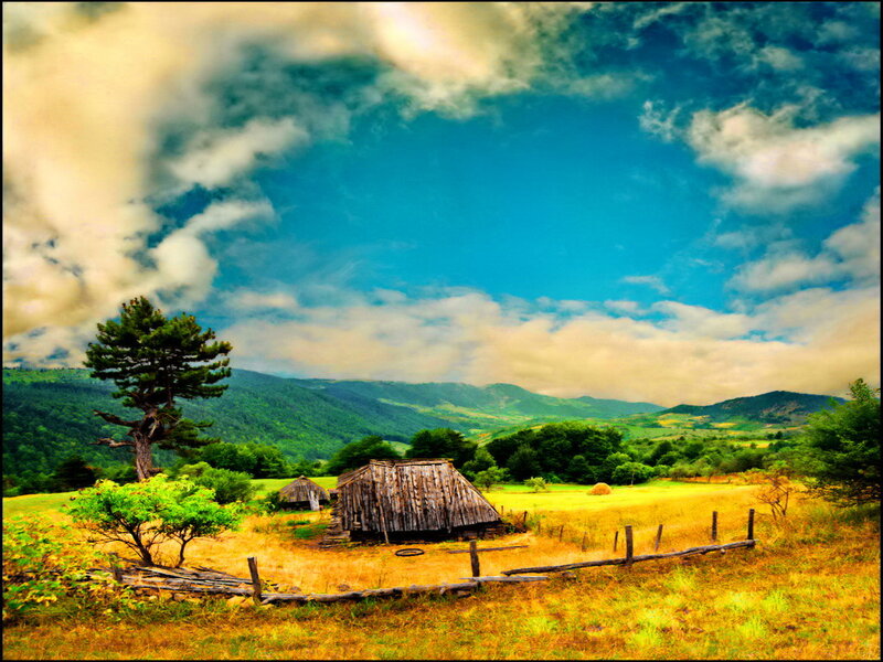 Wooden Hut in Field