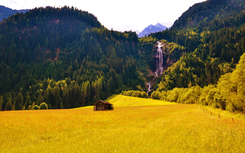 Wooden Hut in Field — Yellow