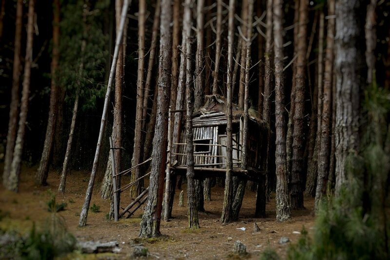 Wooden Hut in Forest — Brown