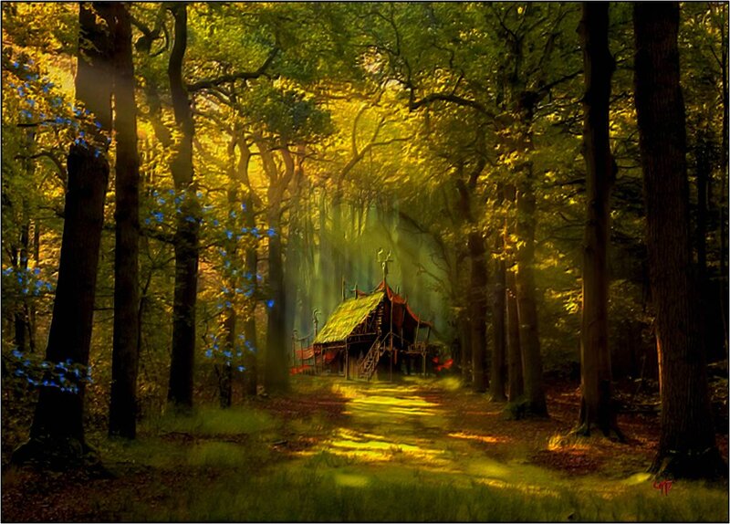 Wooden Hut in Forest — Green