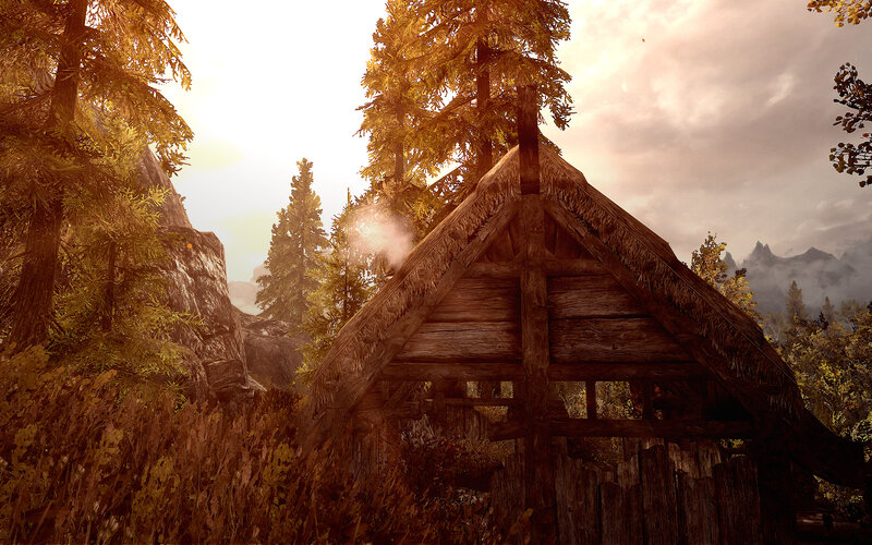 Wooden Hut in Forest