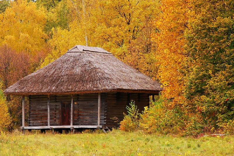 Wooden Hut in Forest — Yellow