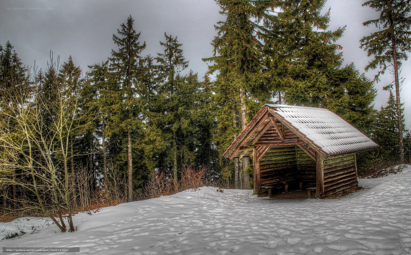 Wooden hut in snowy forest