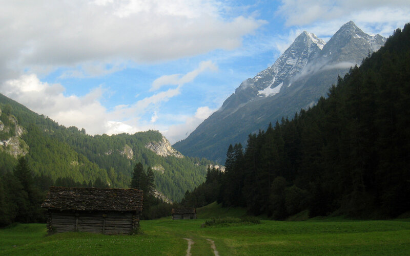 Wooden Hut in Valley — Green