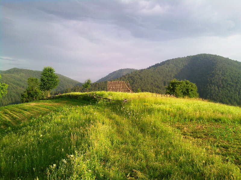 Wooden Hut on Hill