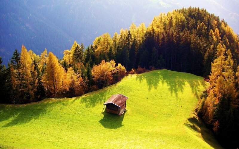 Wooden Hut on Hillside — Green, Serene, Afternoon, Photograph, Forest