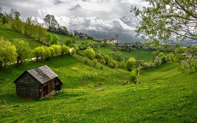 Wooden Hut on Hillside — Green, Serene, Spring