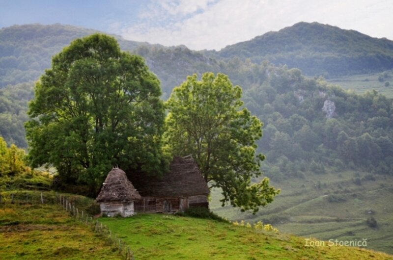 Wooden Hut on Hillside — Green, Serene