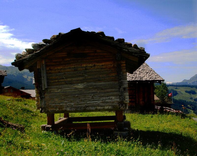 Wooden Hut on Hillside — Green
