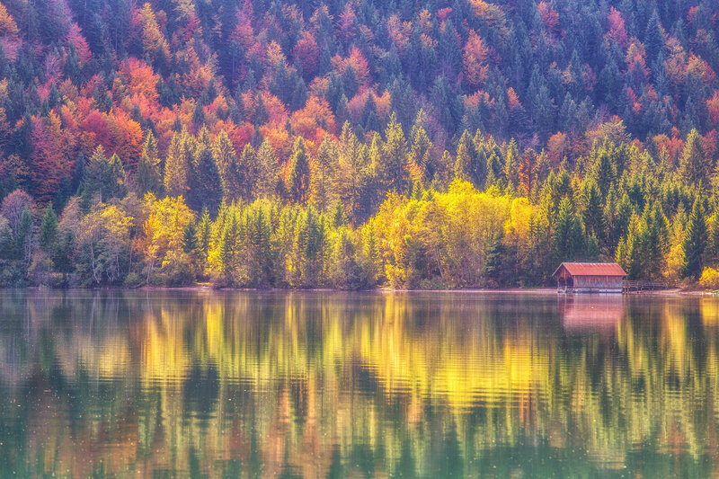 Wooden Hut on Lake — Green, Serene, Autumn