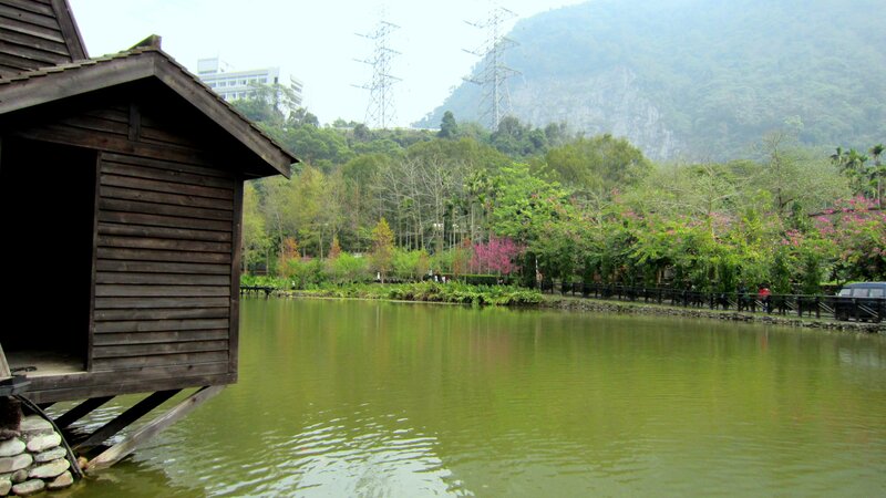 Wooden Hut on Lake — Green